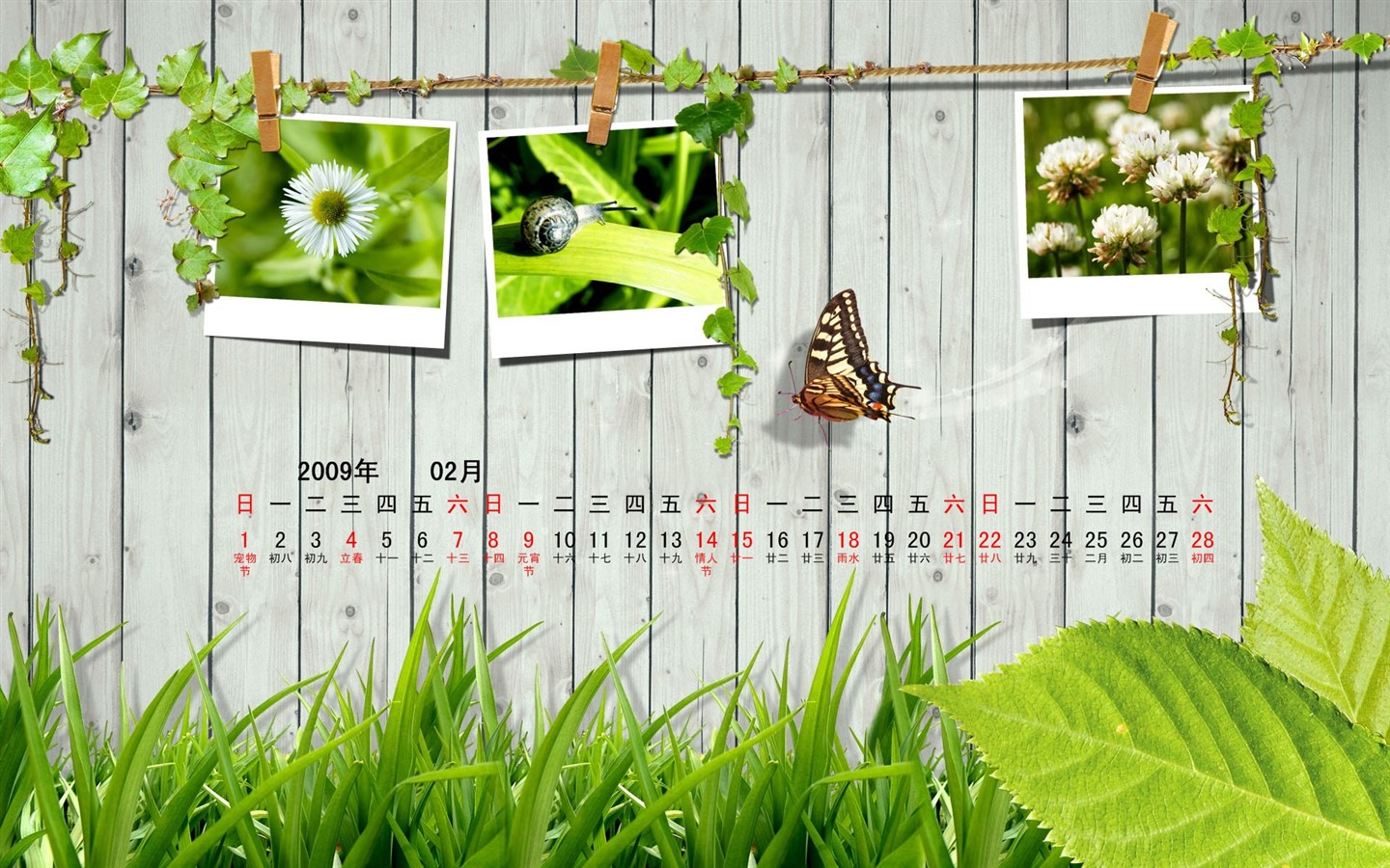 Paperart 09 Jahre im Februar Kalender Wallpaper #10 - 1440x900