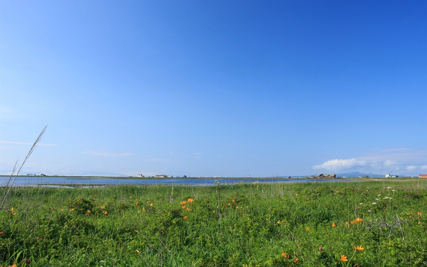Hokkaido ländlicher Umgebung #13 - 1440x900