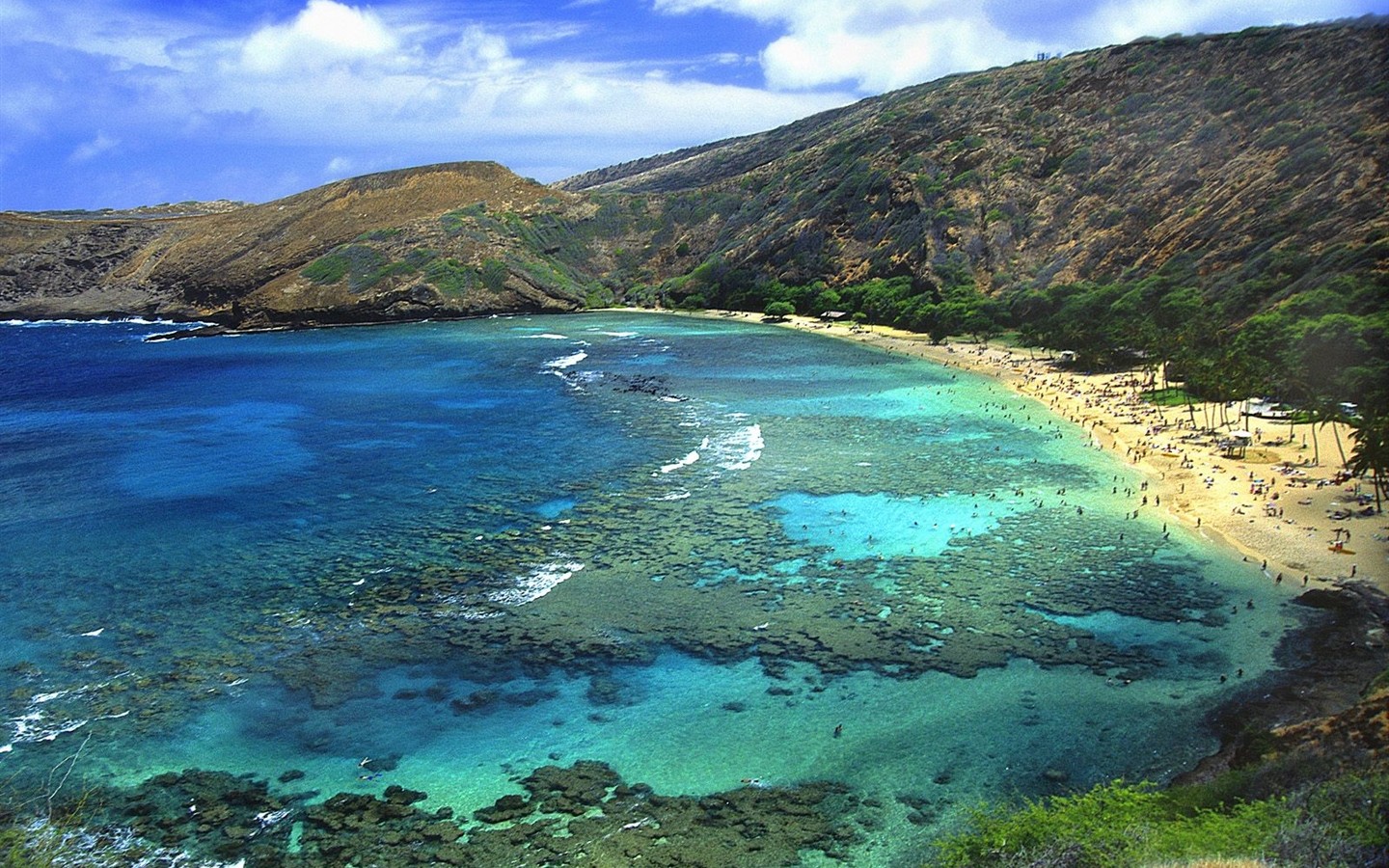 paisaje playa de Hawai #11 - 1440x900