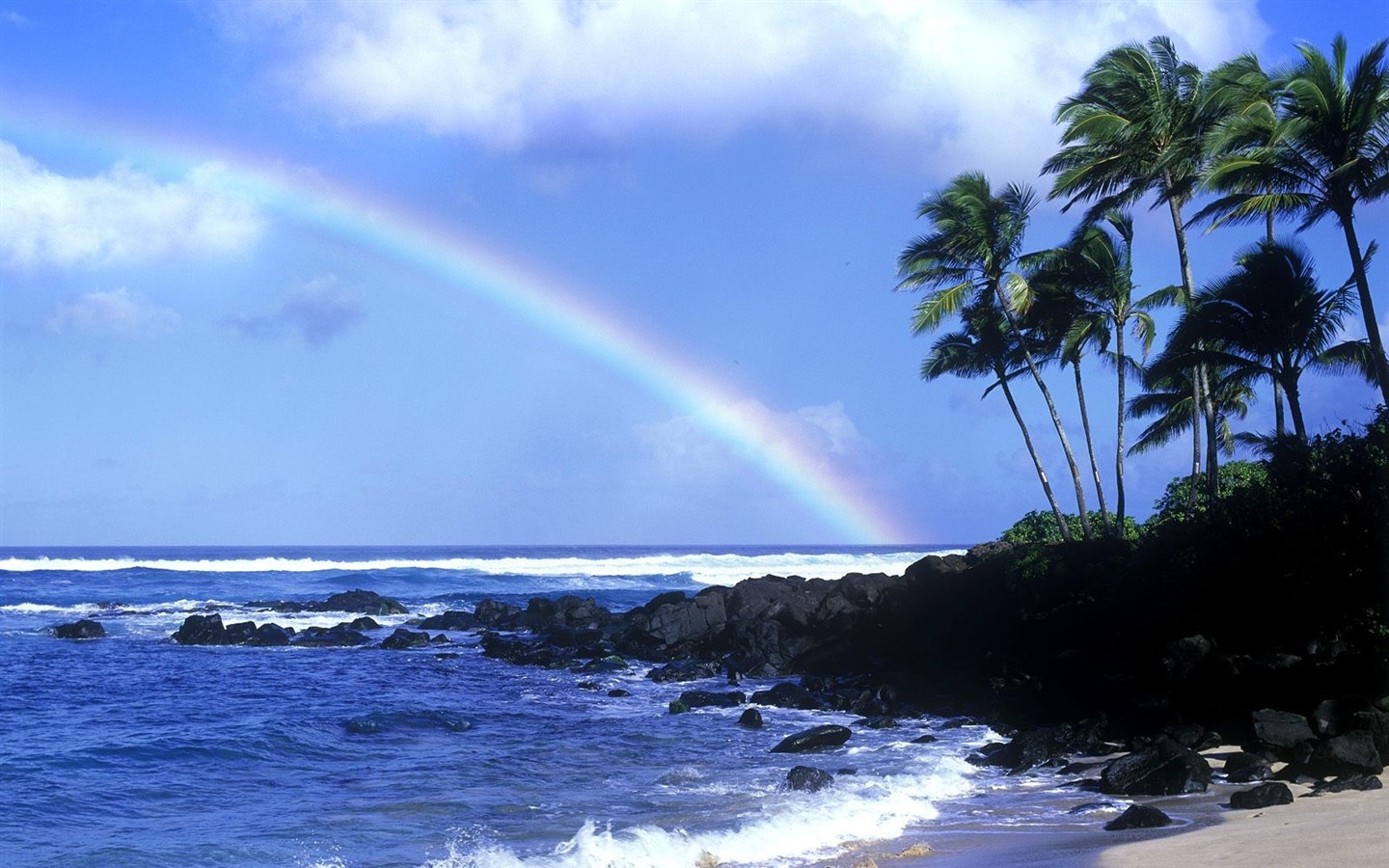 havajské pláži scenérie #14 - 1440x900
