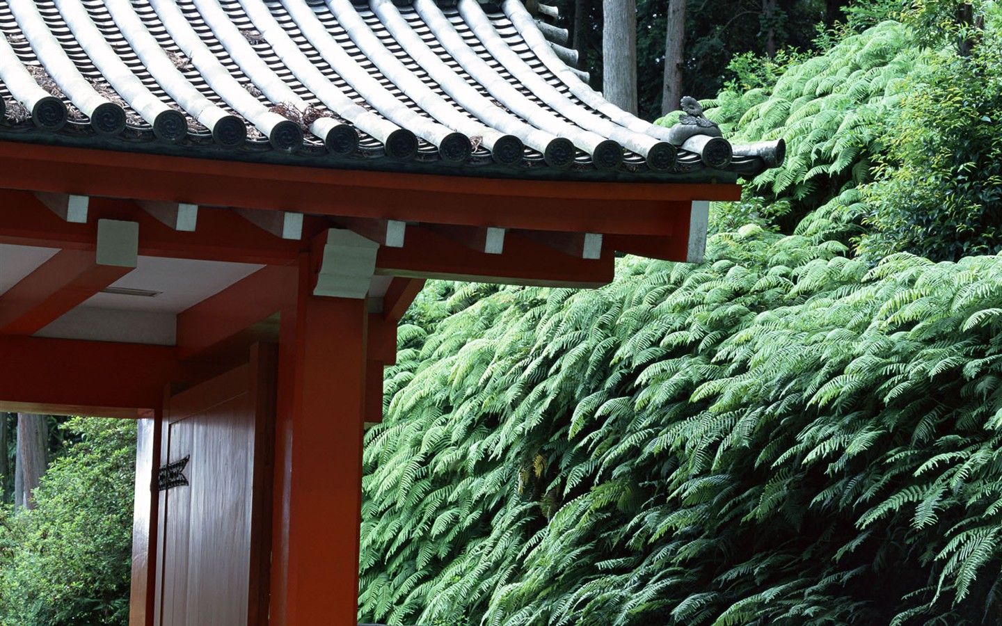 京都、日本、風景壁紙 #6 - 1440x900