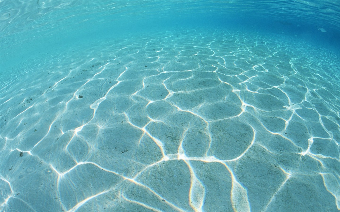 몰디브 물과 푸른 하늘 #2 - 1440x900