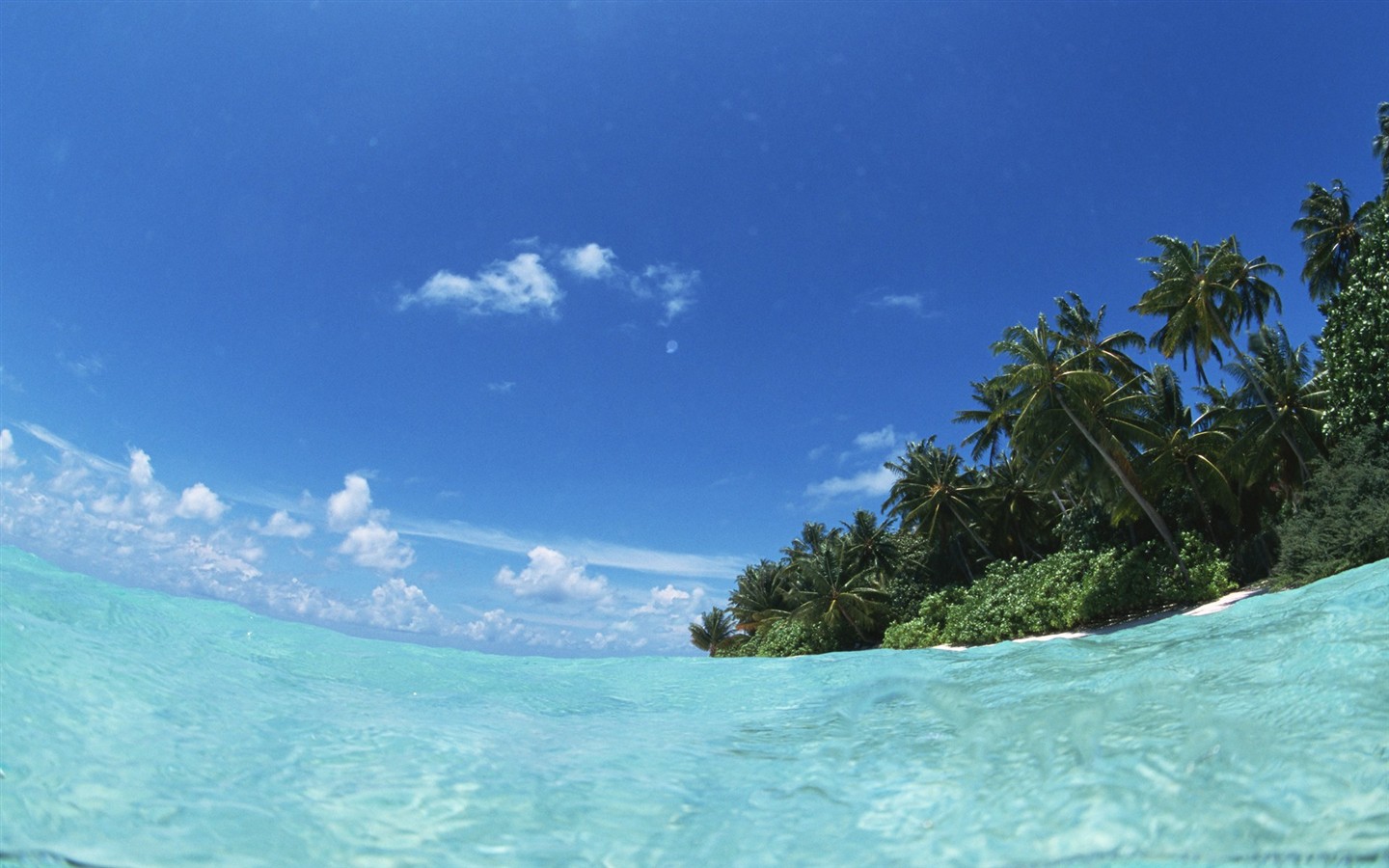몰디브 물과 푸른 하늘 #7 - 1440x900