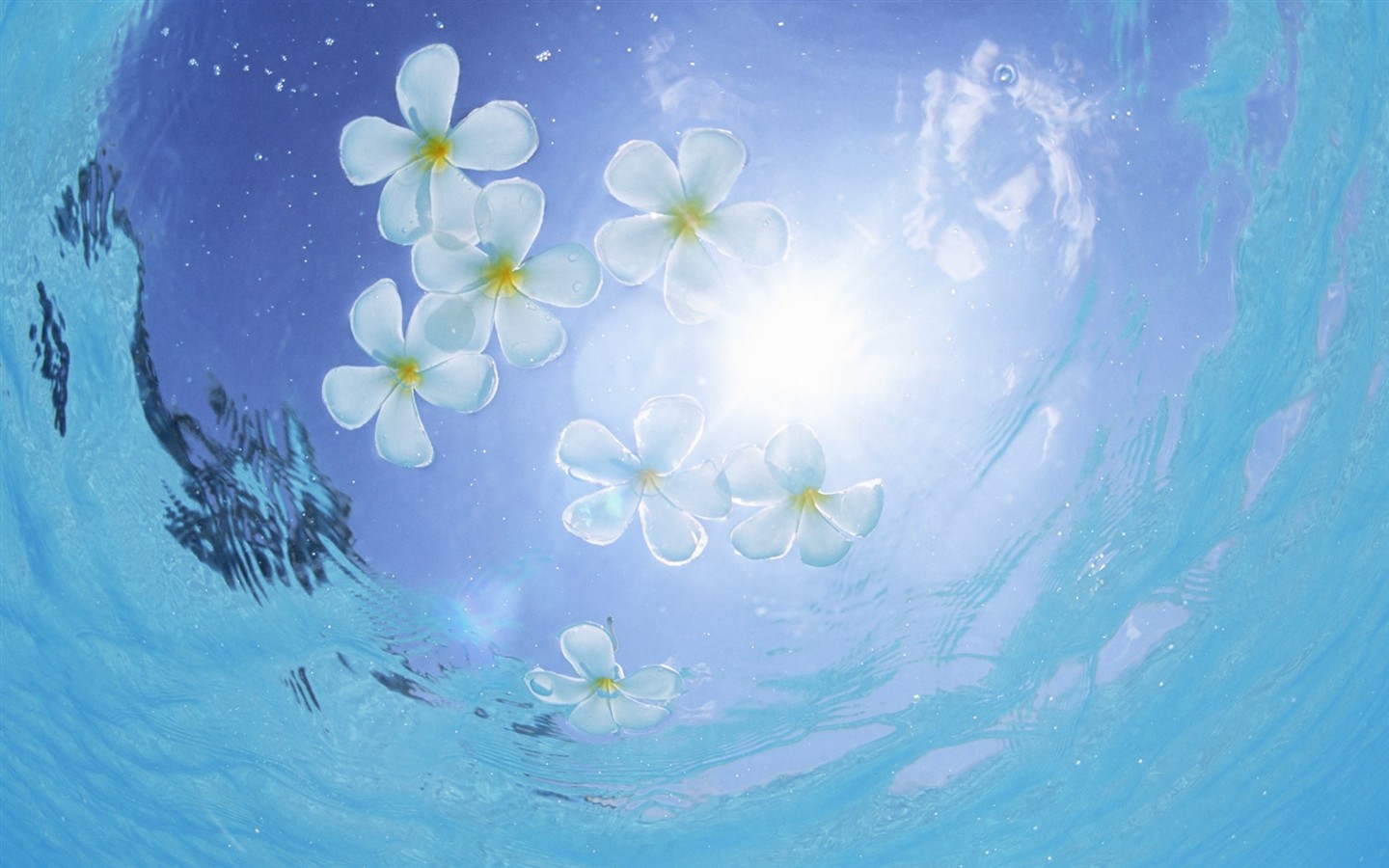 몰디브 물과 푸른 하늘 #10 - 1440x900