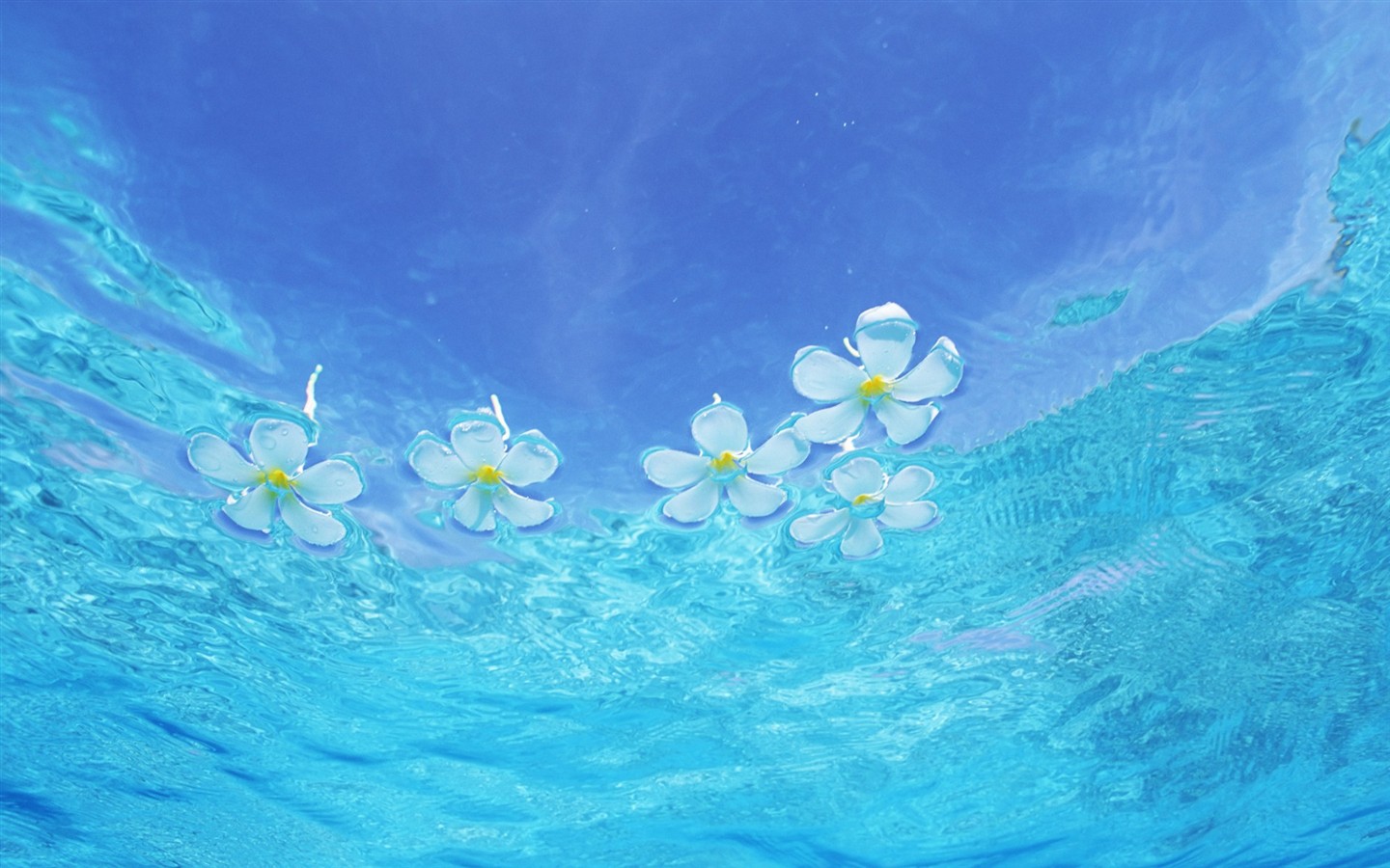 Maledivy vody a modrou oblohu #11 - 1440x900