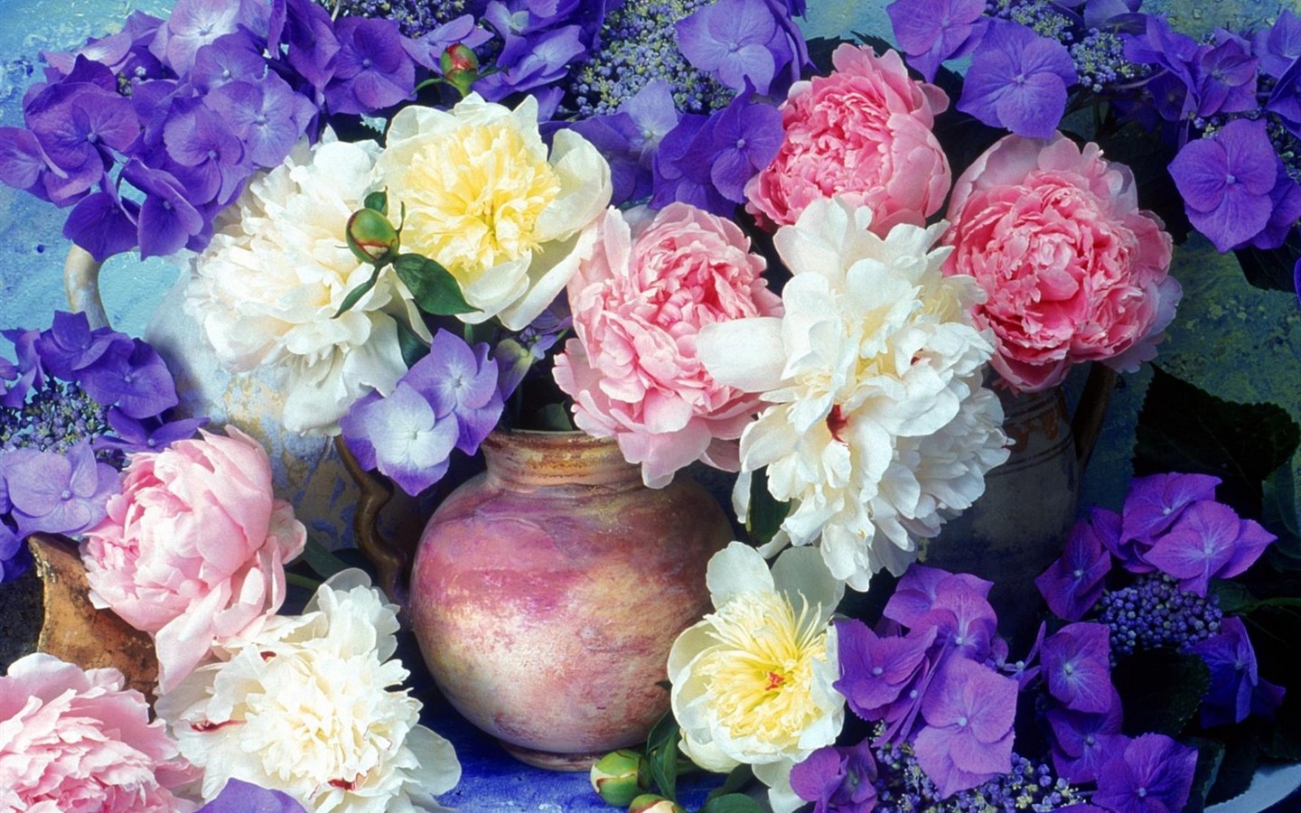 아름다운 꽃 벽지 (2) #7 - 1440x900