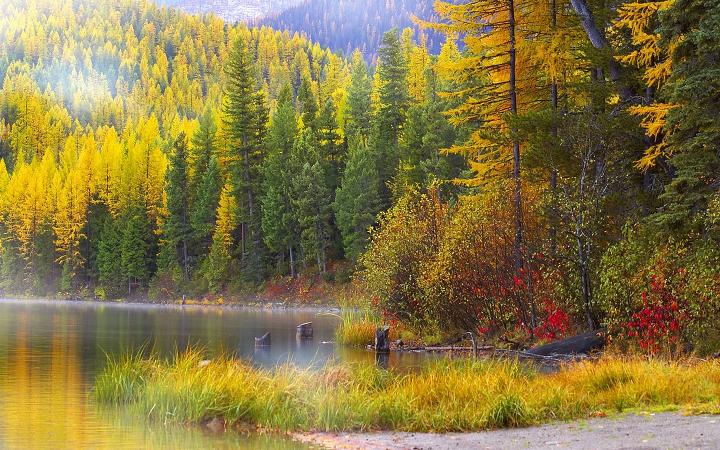 Thick autumn scenery wallpaper #12 - 1440x900