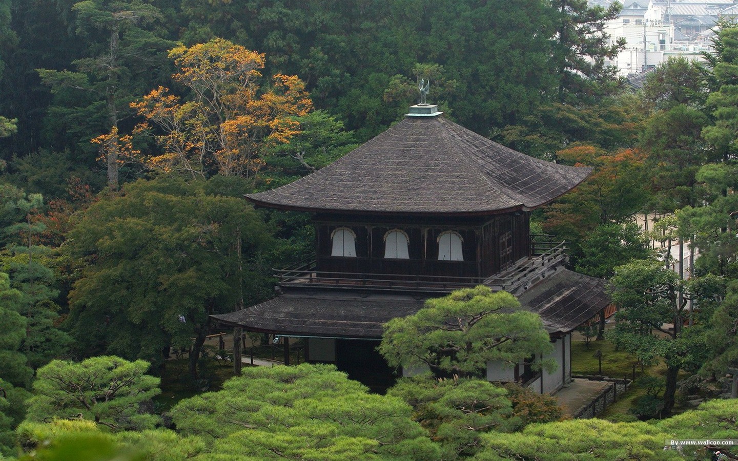 寧靜庭園 公園美景壁紙 #5 - 1440x900