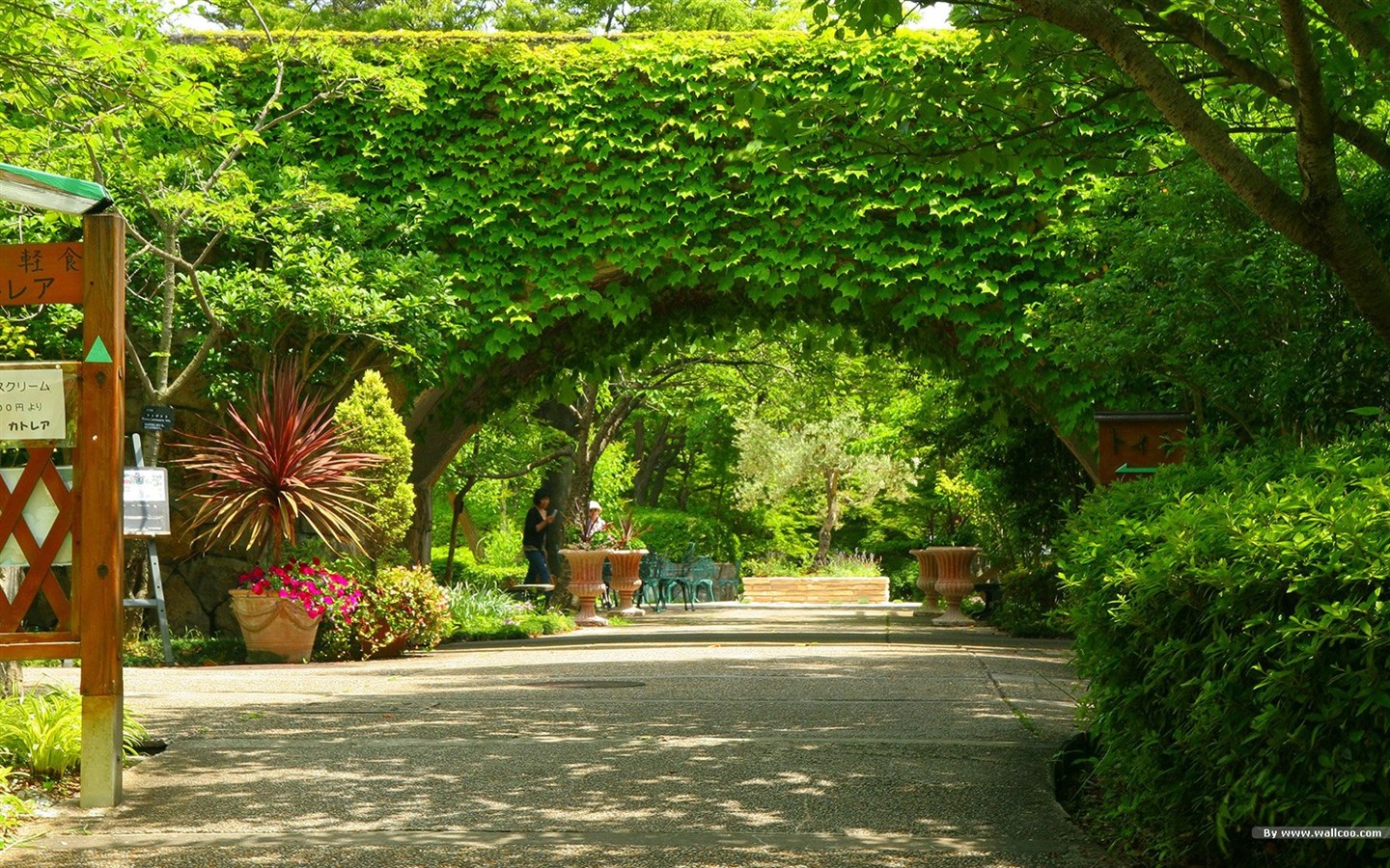 Parc beau fond d'écran #15 - 1440x900