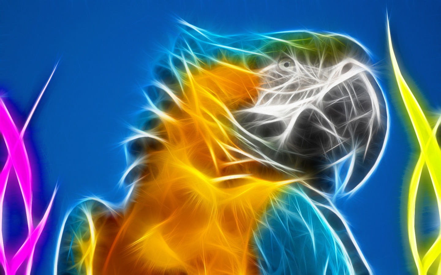 Cool zvířecí tapety světla #5 - 1440x900