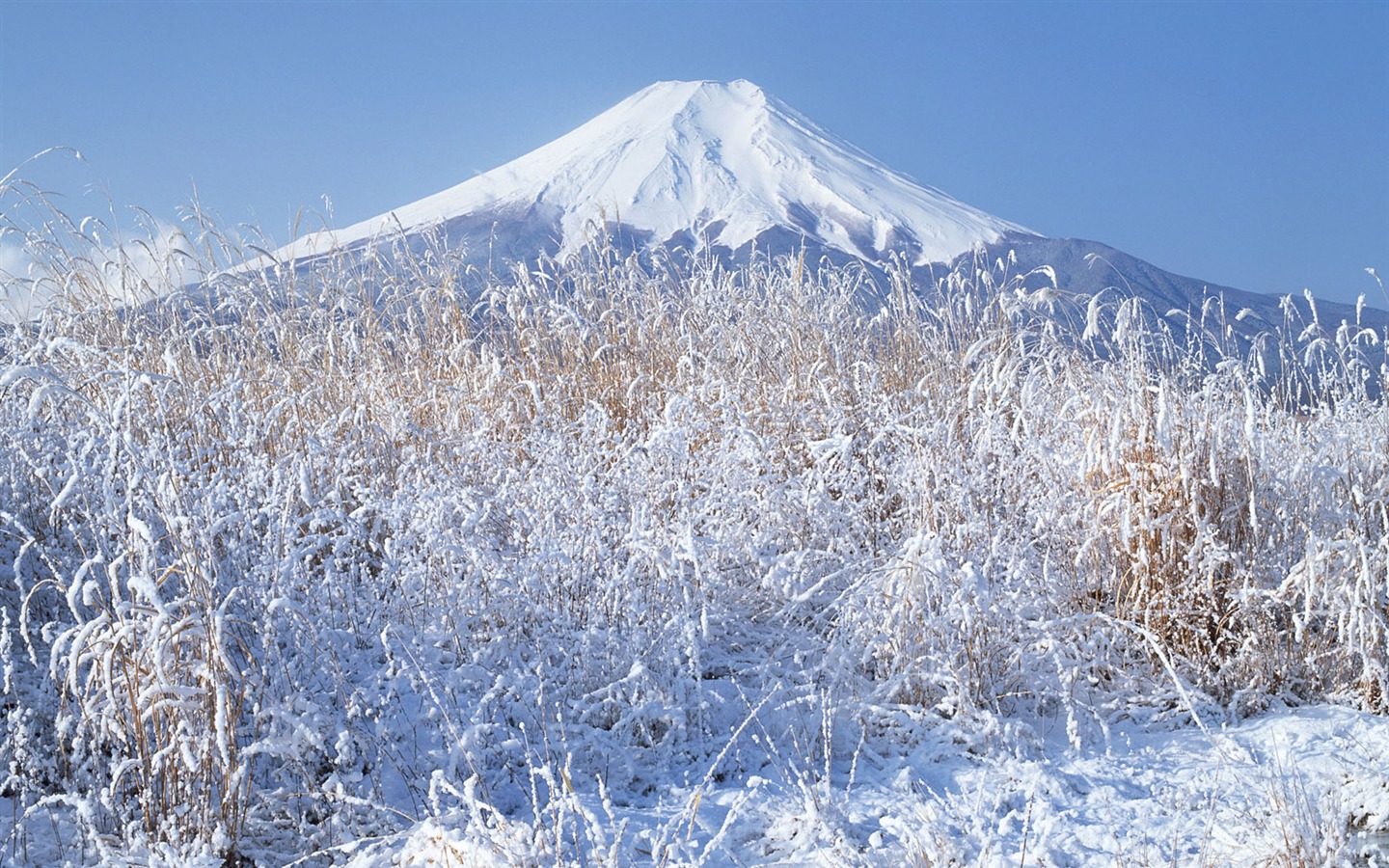 富士山風光壁紙專輯 #22 - 1440x900