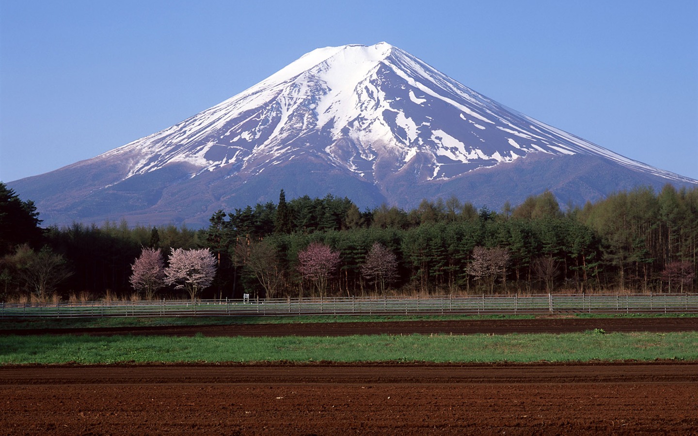 Fuji Álbum Fondos de Paisajes #27 - 1440x900