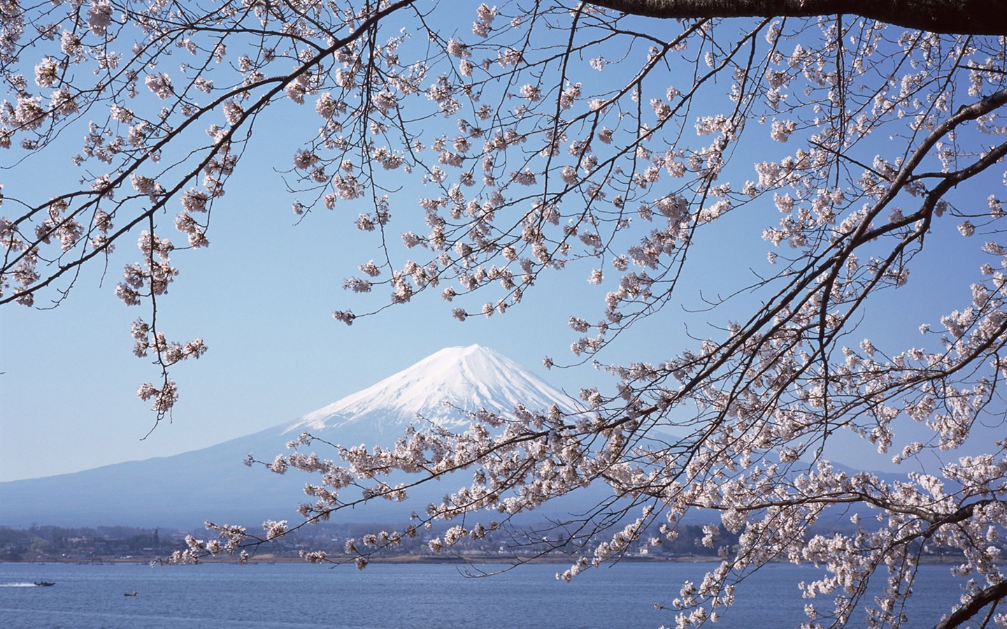Fuji Scenery стола Альбом #29 - 1440x900