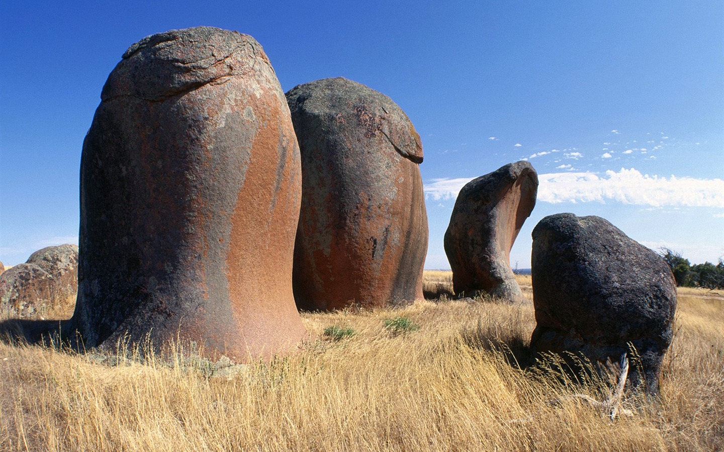 Caractéristiques de beaux paysages de l'Australie #4 - 1440x900