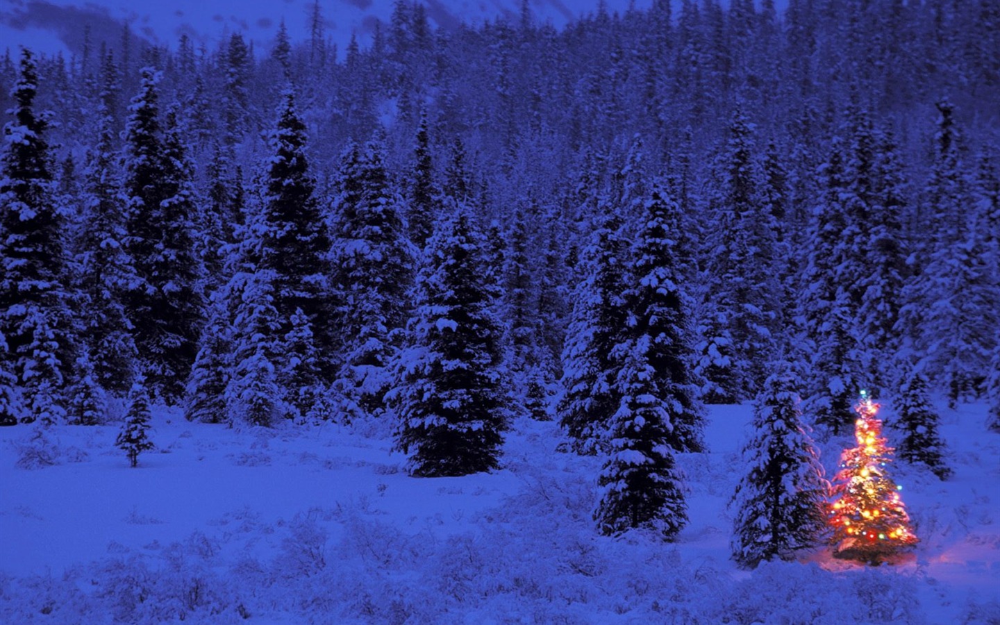 Fond d'écran de Noël série aménagement paysager (4) #3 - 1440x900