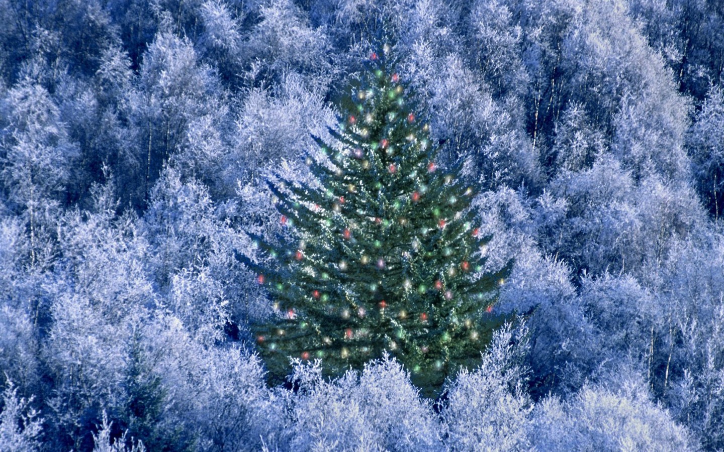 vánoční krajiny sérii tapet (4) #15 - 1440x900