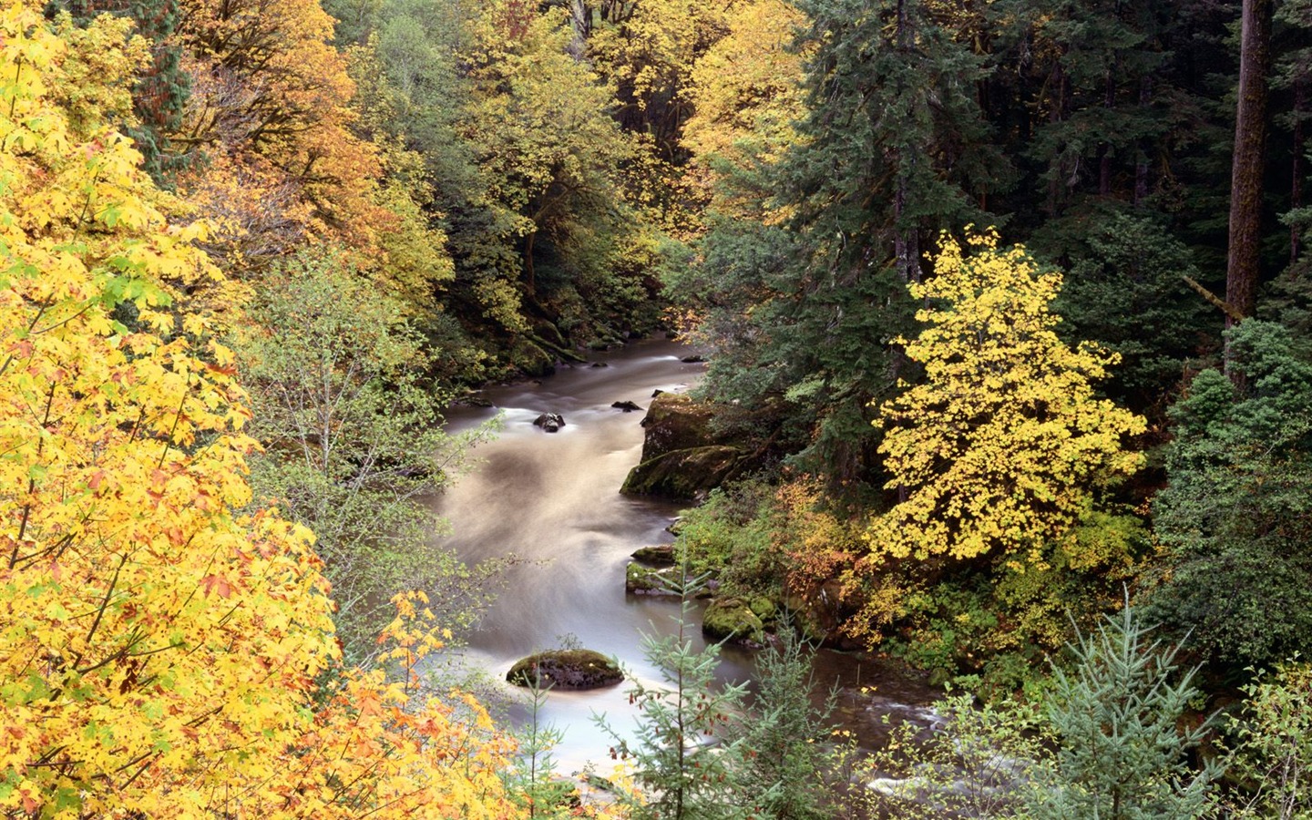 Herbstlandschaft schöne Tapete #12 - 1440x900