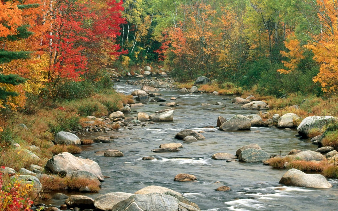 Podzimní krajina krásná tapeta #15 - 1440x900