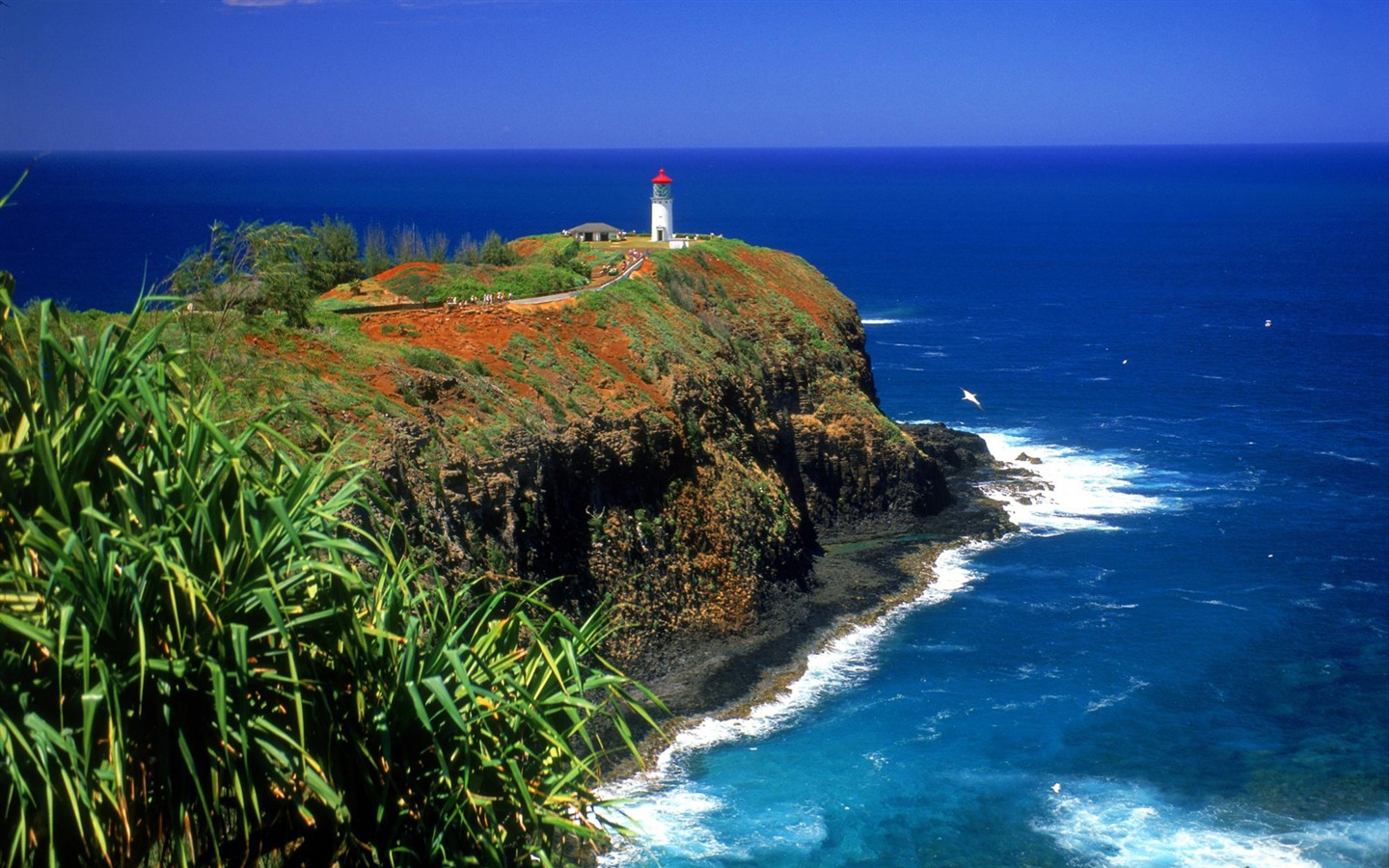 Coastal Lighthouse HD Wallpaper #22 - 1440x900