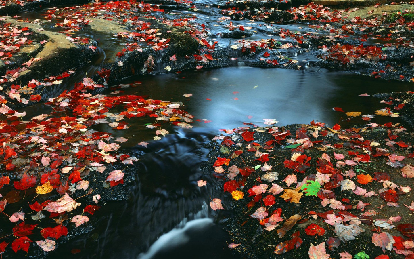 Water streams HD Wallpapers #40 - 1440x900