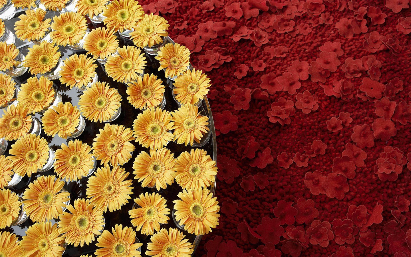 Widescreen wallpaper flowers close-up #21 - 1440x900
