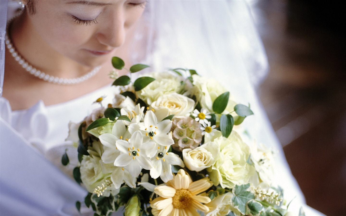 flor de boda anillo de bodas fondo de pantalla (1) #12 - 1440x900