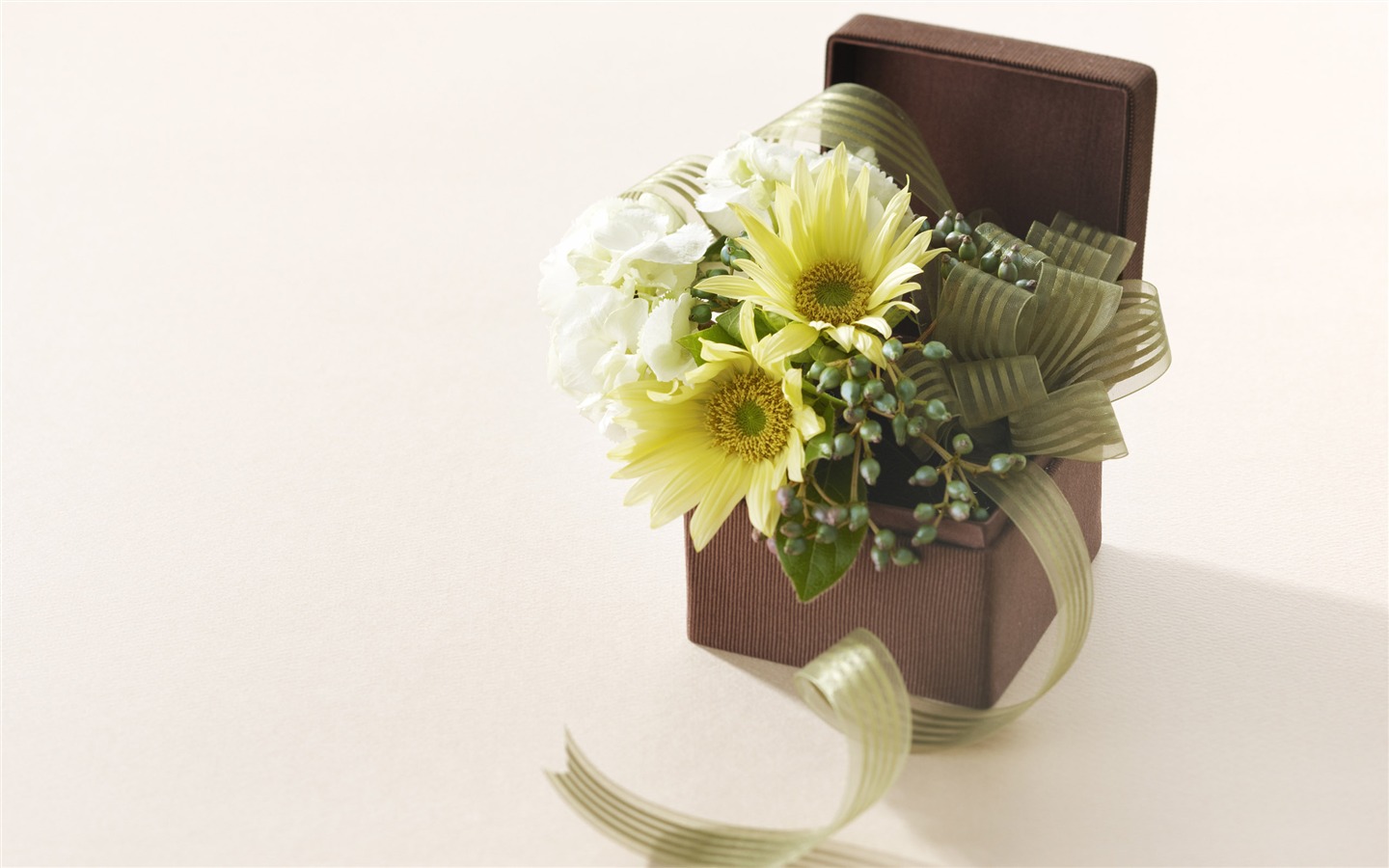 Цветы, подарки стола HD (2) #11 - 1440x900