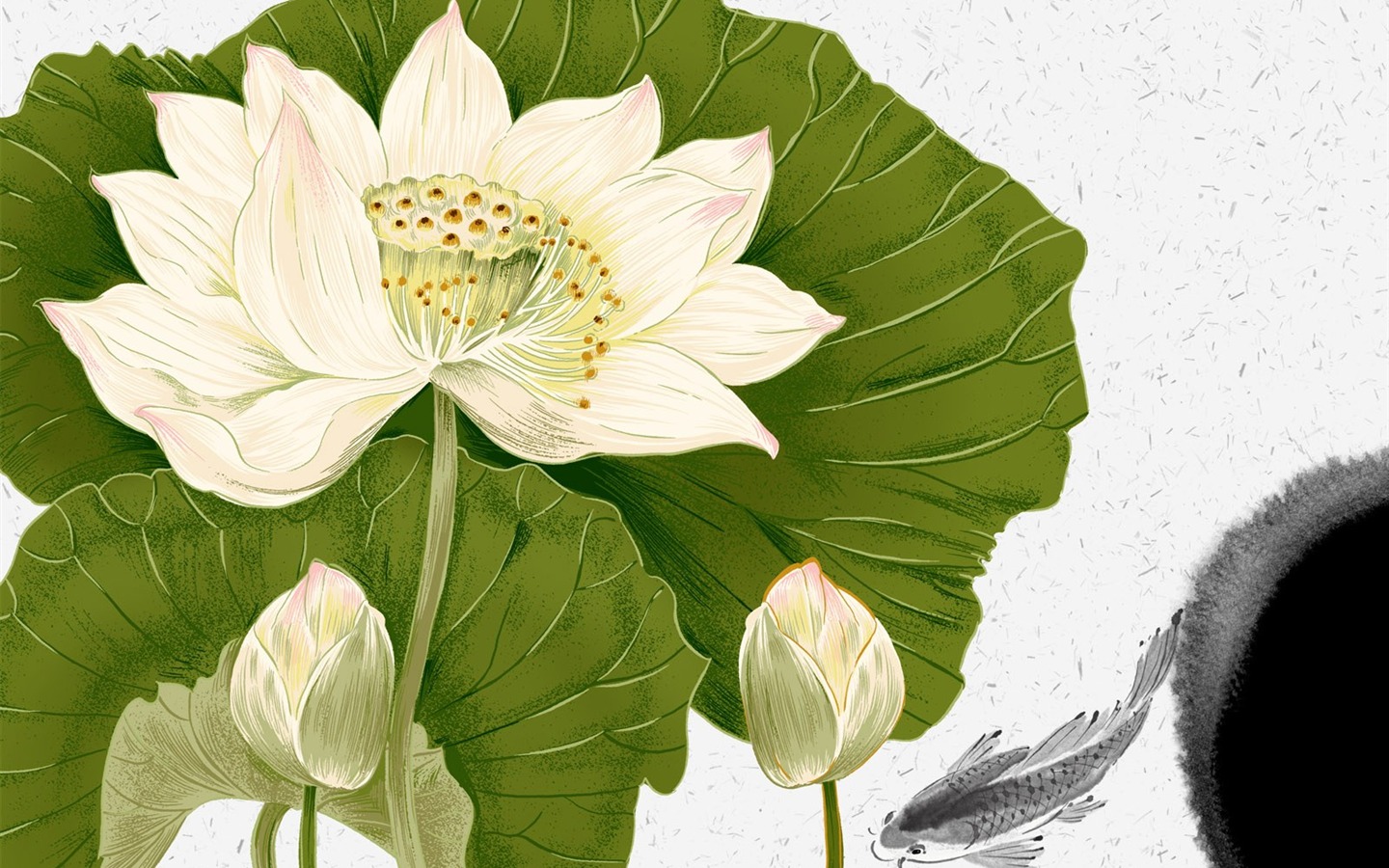 花卉圖案插畫設計壁紙 #20 - 1440x900