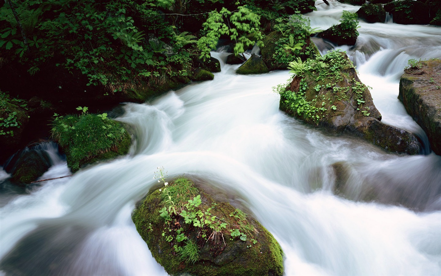 滝は、HD画像ストリーム #34 - 1440x900