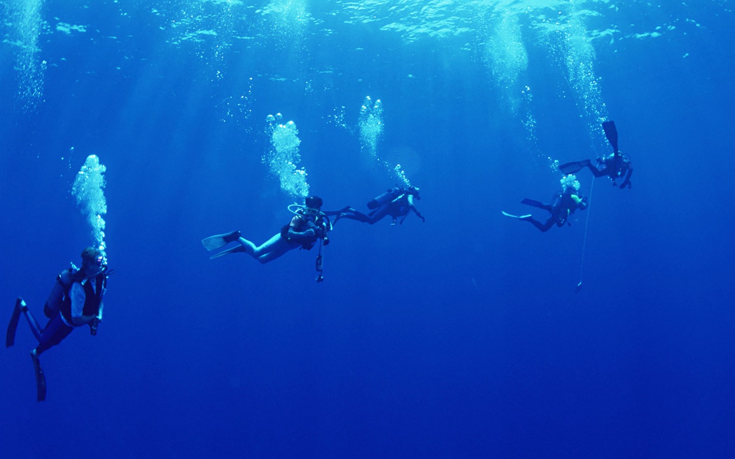 Deep Blue Underwater World Wallpaper #2 - 1440x900