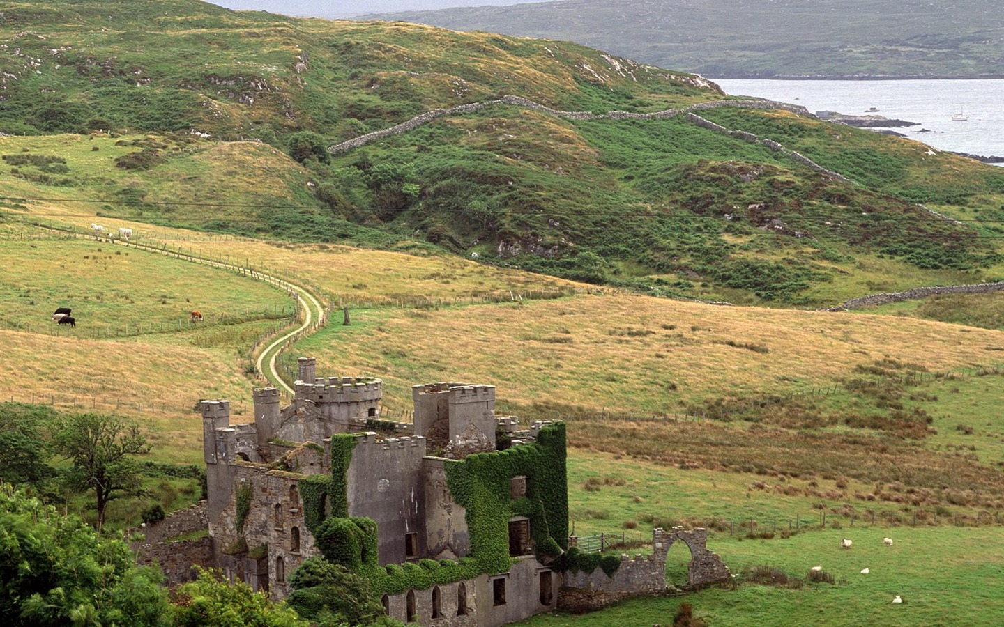 Svět scenérie Irska Tapety #14 - 1440x900
