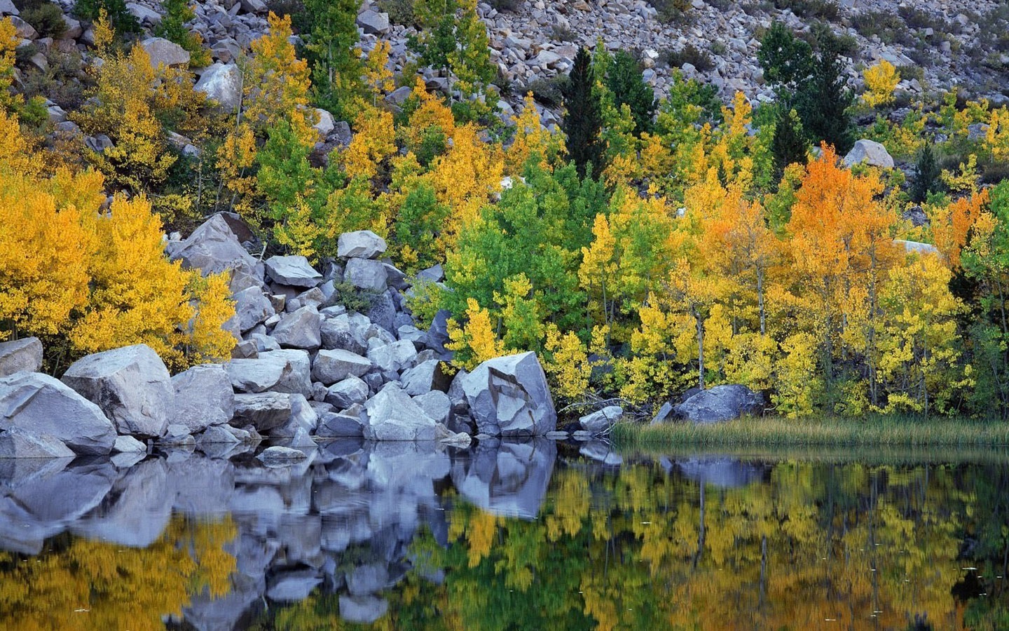 fonds d'écran un beau paysage naturel (4) #16 - 1440x900