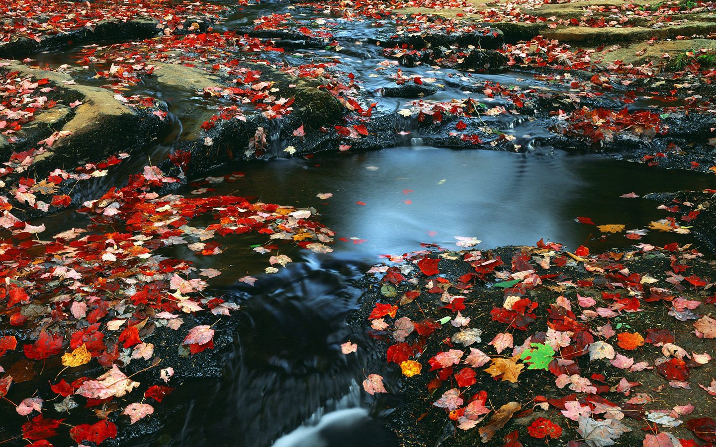 krásné přírodní scenérie Tapety na plochu (4) #27 - 1440x900