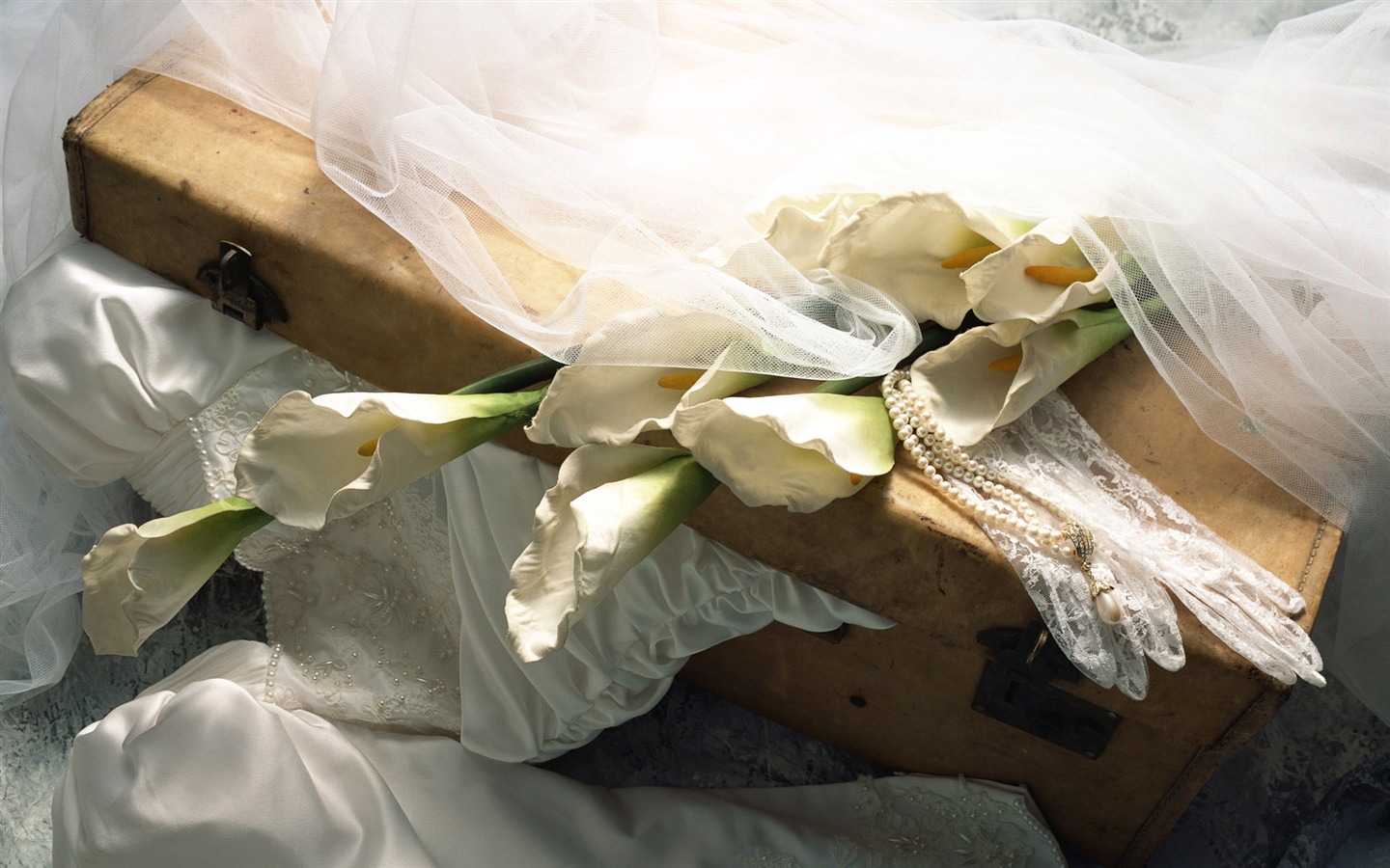 결혼식 꽃 항목 월페이퍼 (2) #12 - 1440x900