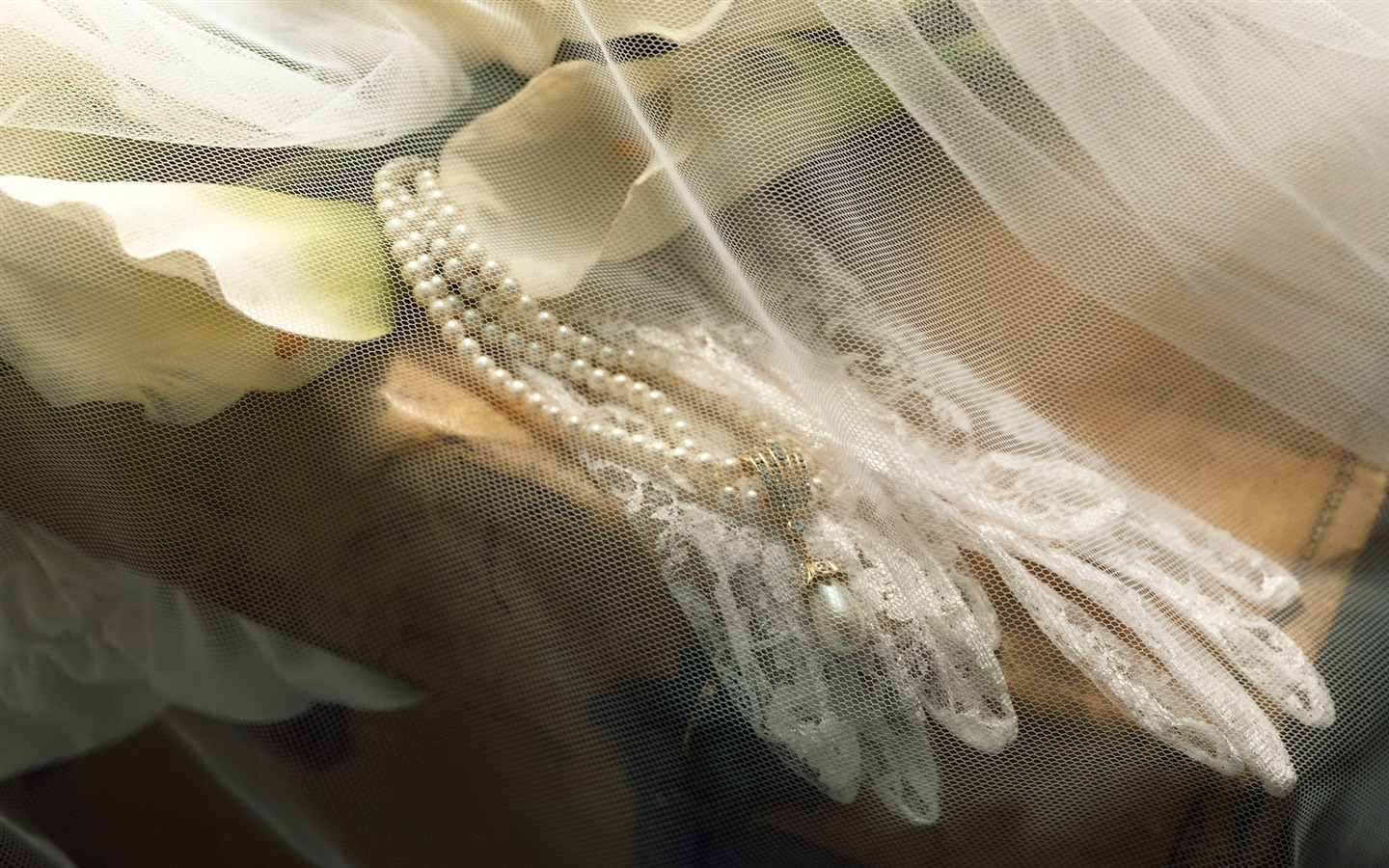 결혼식 꽃 항목 월페이퍼 (2) #13 - 1440x900