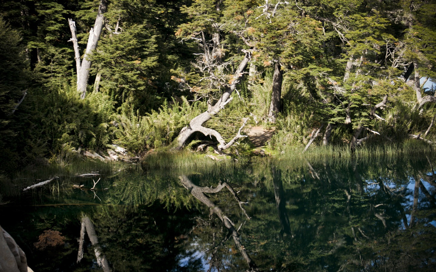 Patagonia přírodní scenérie Tapeta #13 - 1440x900
