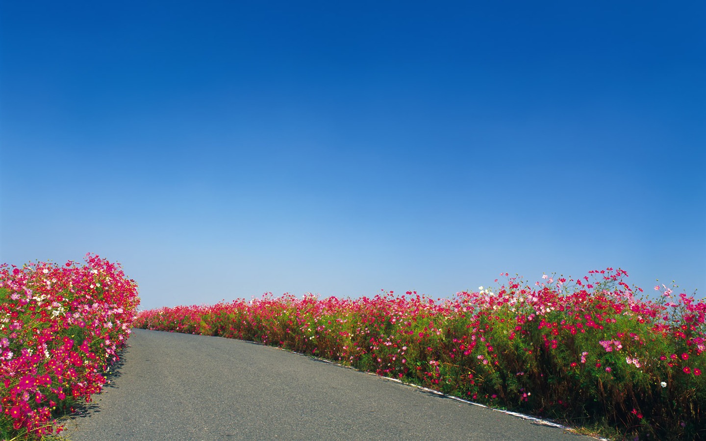 道路寫真壁紙 #19 - 1440x900