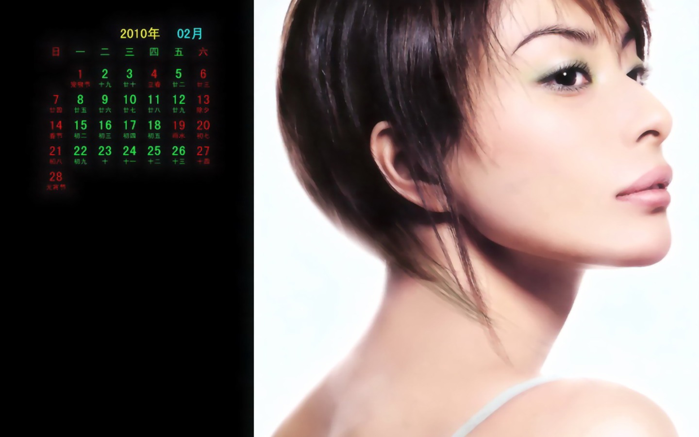 Fondo de pantalla de la estrella en febrero 2010 Calendario #6 - 1440x900