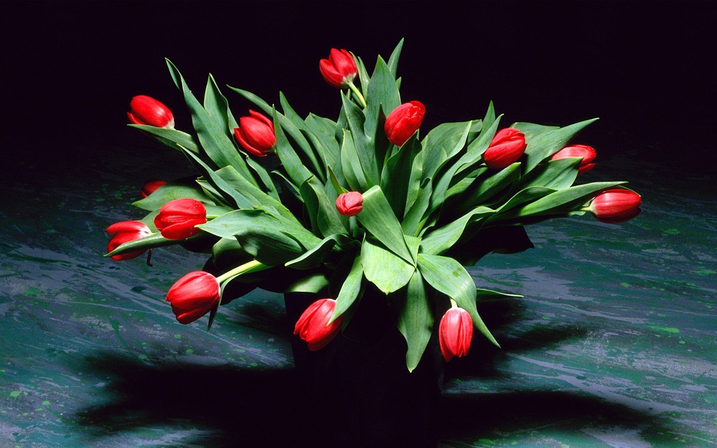 Květiny close-up (19) #15 - 1440x900