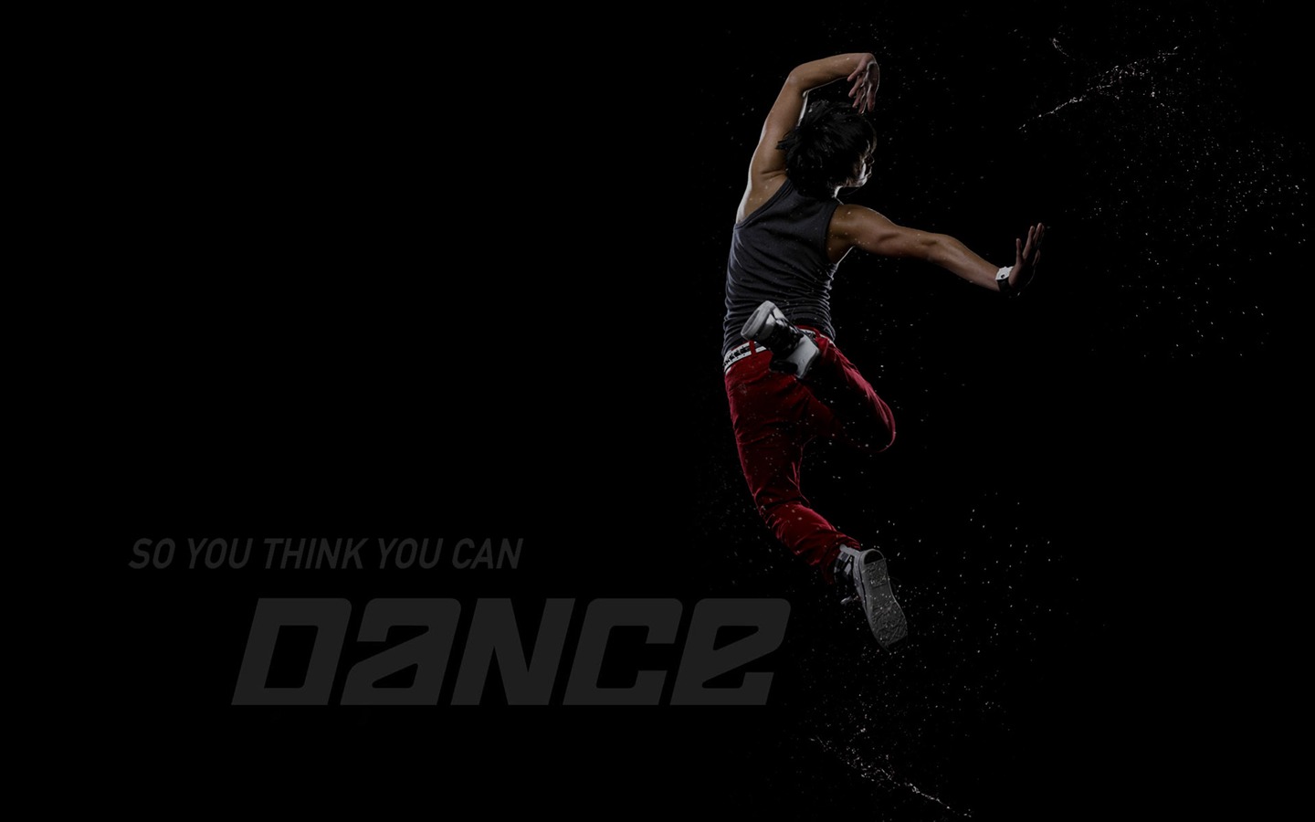 So You Think You Can Dance 舞林争霸 壁纸(二)12 - 1440x900