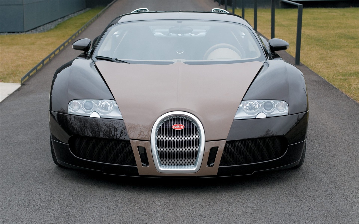 Bugatti Veyron обои Альбом (3) #8 - 1440x900