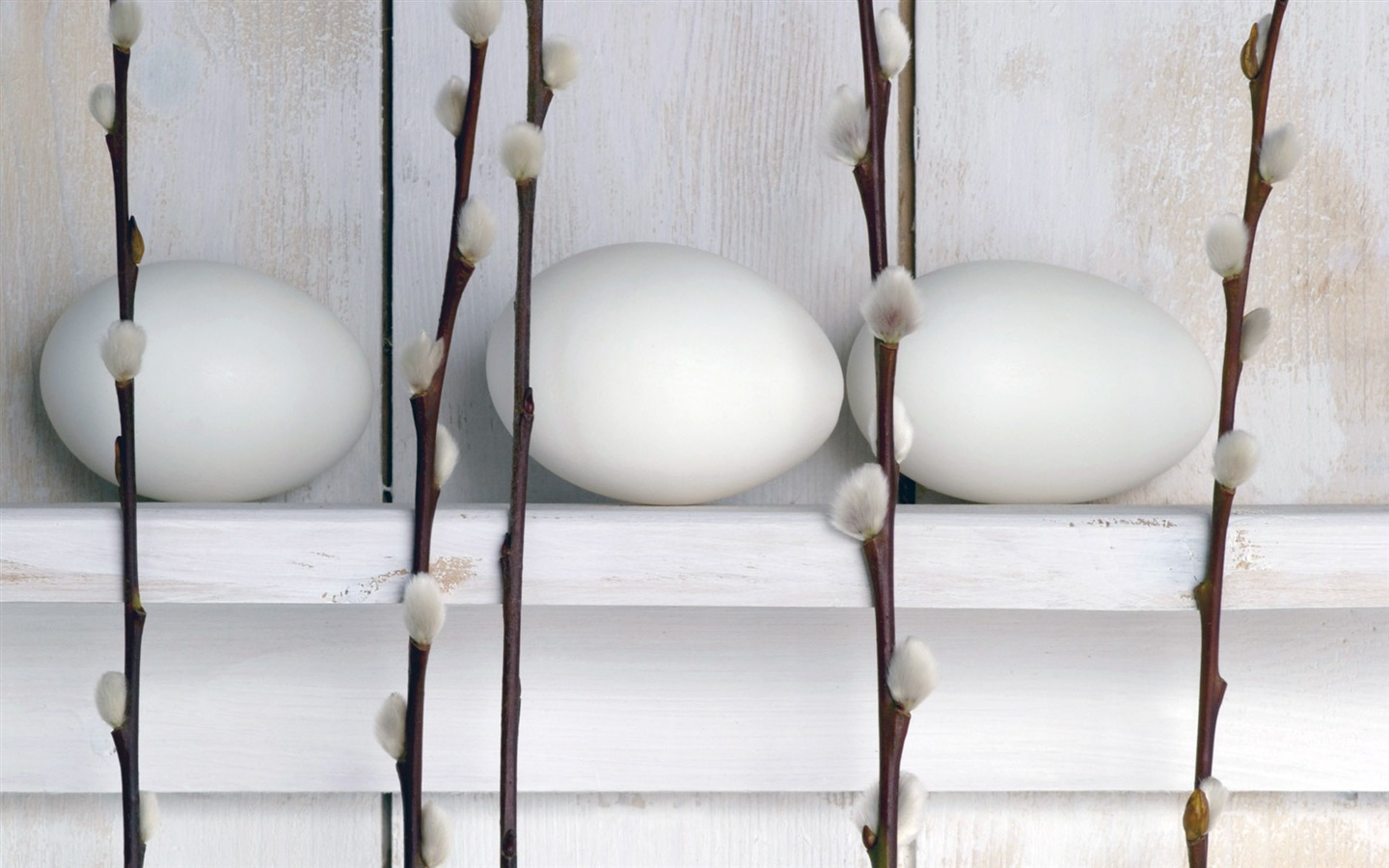 Velikonoční vajíčko tapety (1) #2 - 1440x900