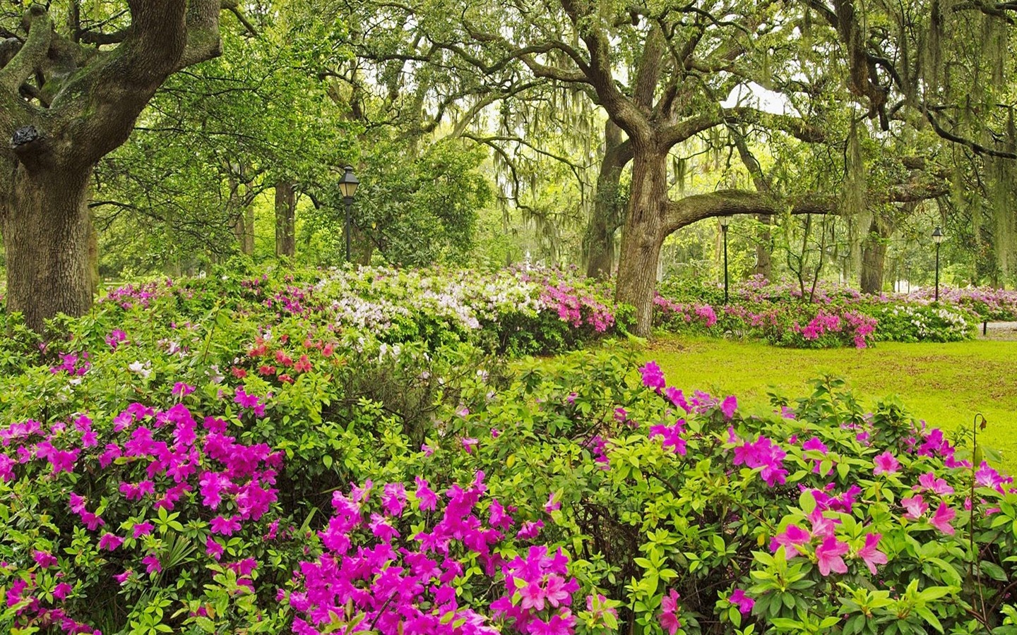 Fonds d'écran Art Garden #4 - 1440x900