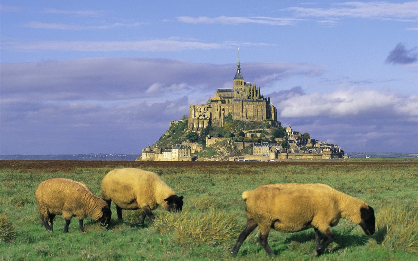 paysage mondial de la tapisserie française #14 - 1440x900