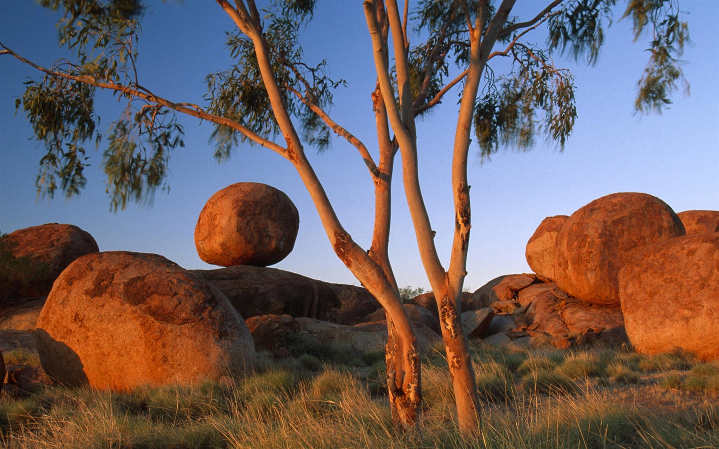 Charming natural scenery HD Wallpaper (1) #6 - 1440x900