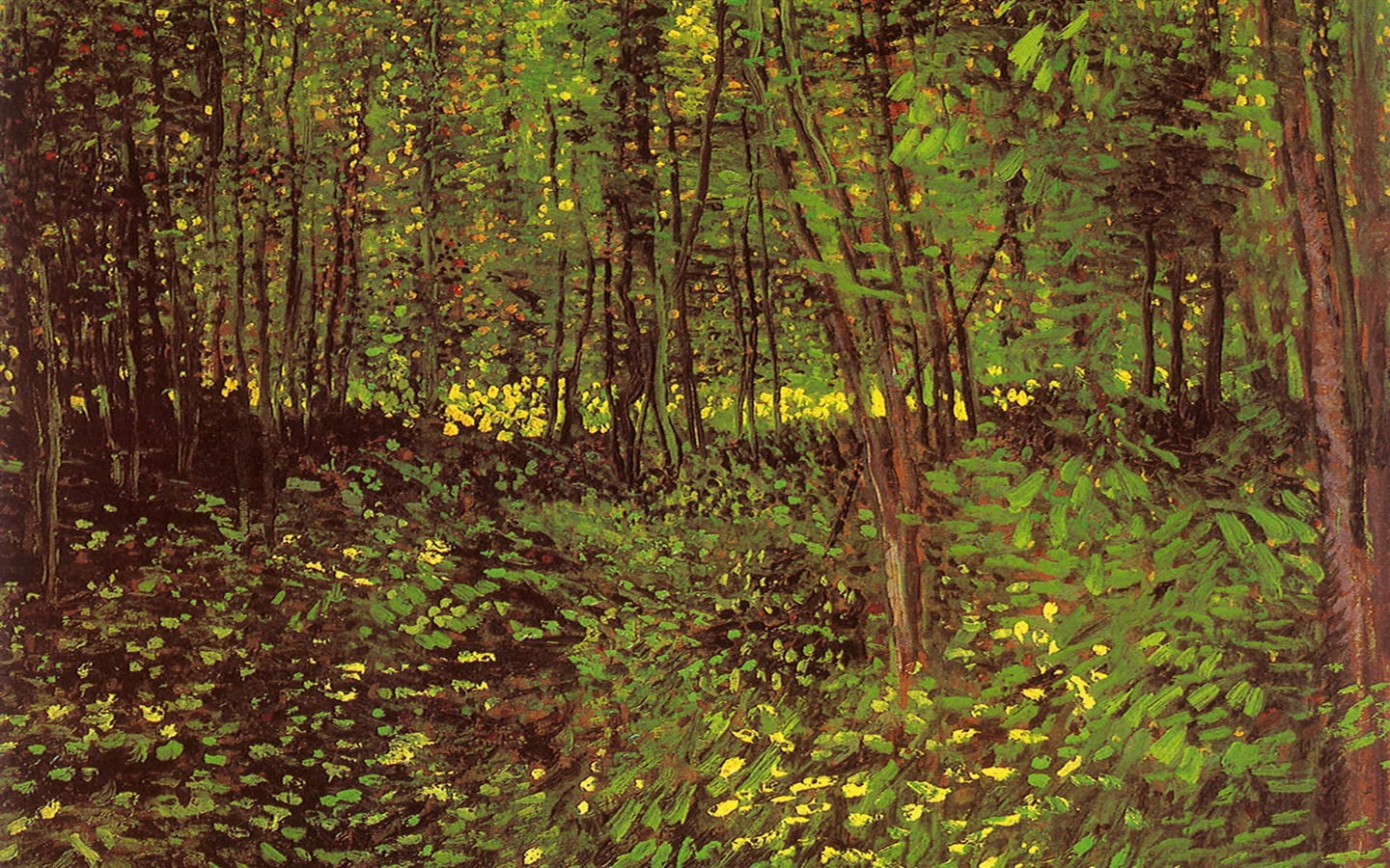 Vincent Van Gogh fondos de escritorio de la pintura (2) #4 - 1440x900