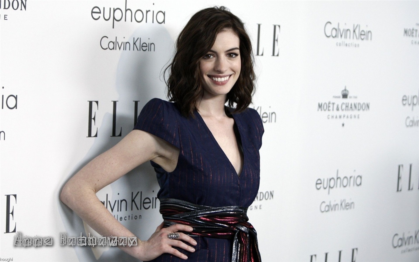 Anne Hathaway beau fond d'écran #6 - 1440x900