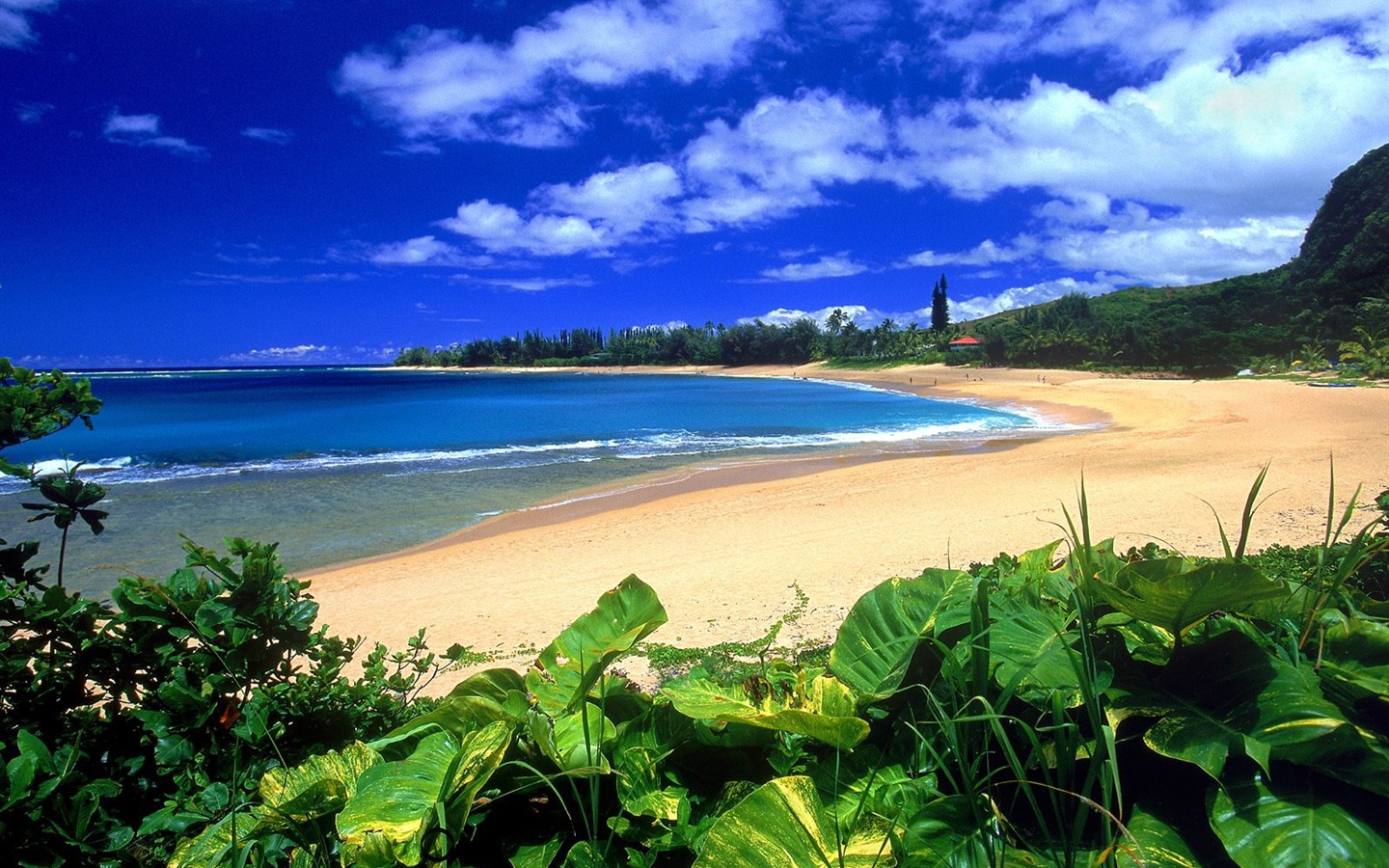Hermoso paisaje de Hawai Wallpaper #11 - 1440x900