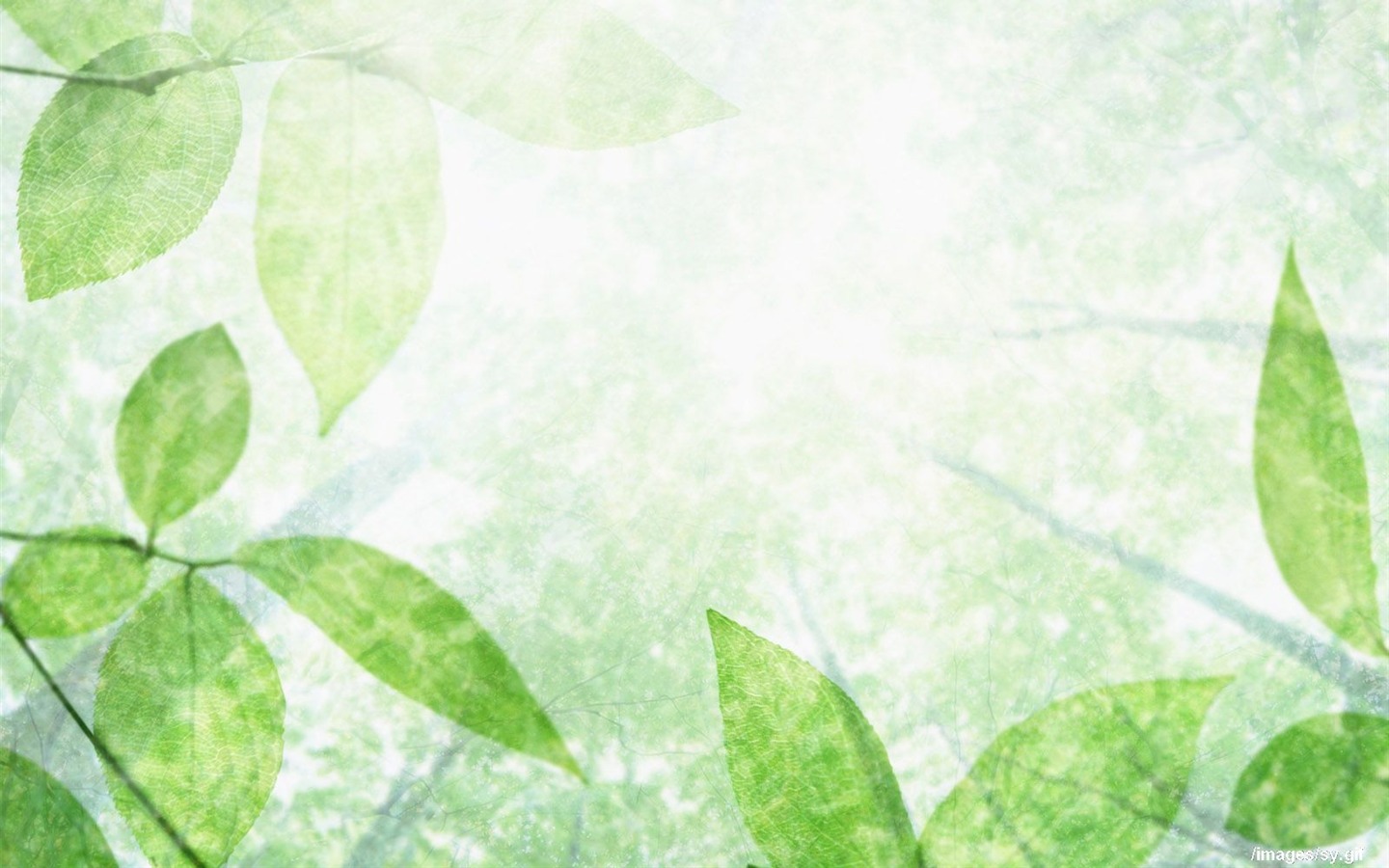 Watermark fresh green leaf wallpaper #11 - 1440x900
