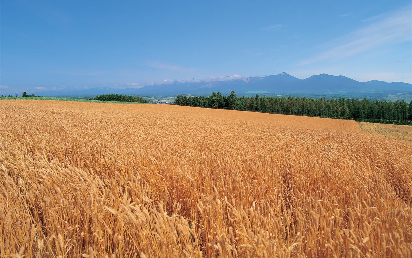 beauté naturelle de Corée du Sud #6 - 1440x900